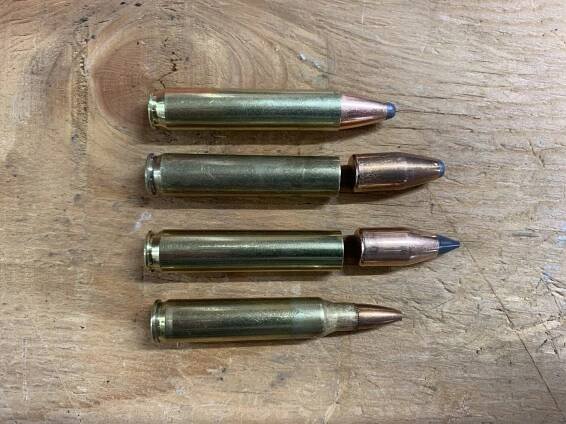 .350 Legend and .223 cartridges