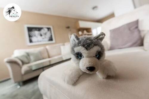VIP rodinný dům v Napajedlích - HUSKY REALITY 