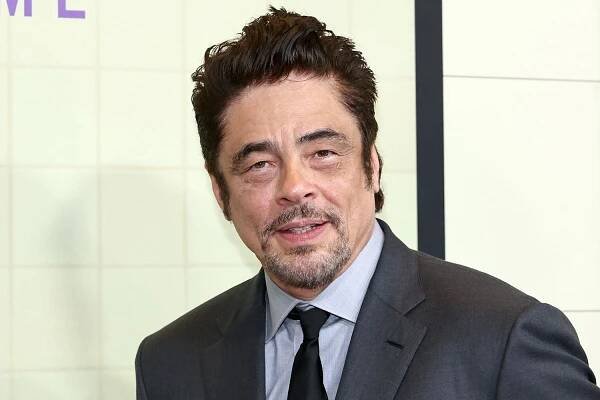 Benicio del Toro attends Focus Features' 