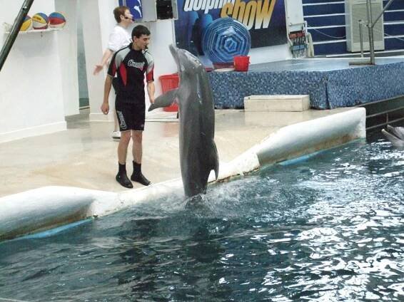 DELFINARIUM WARNA I MONASTYR AŁADŻA – Wakacje w Bułgarii