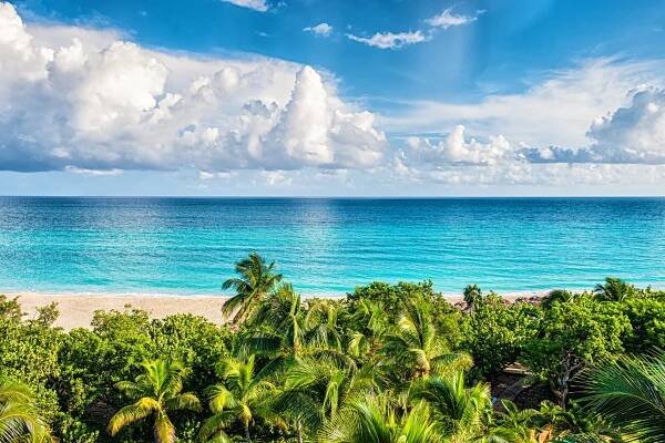 The Bahamas