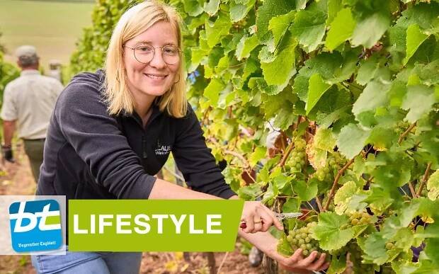Barbara Auer-Albrecht bei der Traubenernte: Sorgfalt und Leidenschaft im Weinbau Auer. @alexkahlertfotografie