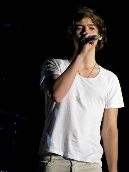 www.vtipiky.estranky.cz - (skupina)one direction 