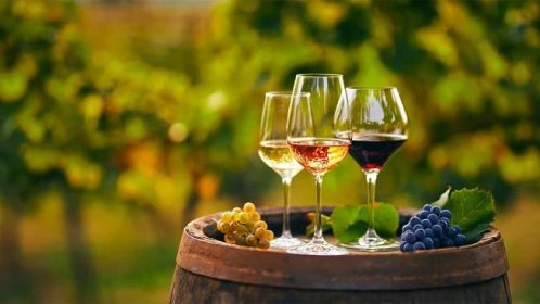 Pardubický zámek bude poslední srpnový pátek a sobotu hostit tradiční festival vína.