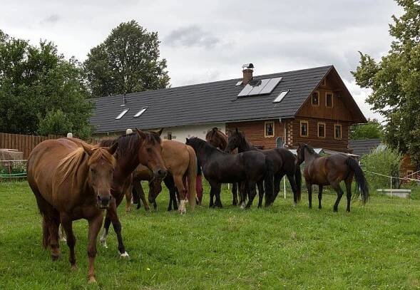 Rekonstrukce | Dřevostavby, časopis o bydlení - DřevoStavby