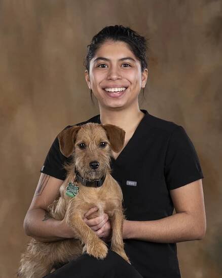 Our Care Team - Mission Veterinary Hospital