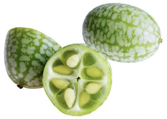 cucamelon nebo melothria scabra izolovaná na bílé - melothria scabra - stock snímky, obrázky a fotky