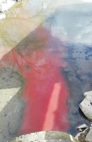 Neznámá červená látka: potok ve Skalici je v hledáčku inspekce, podívejte se