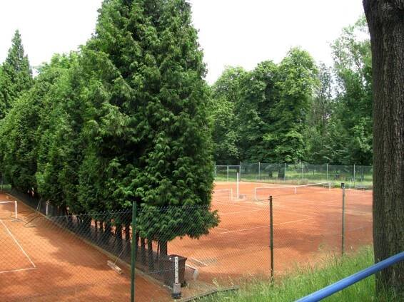 Tenis