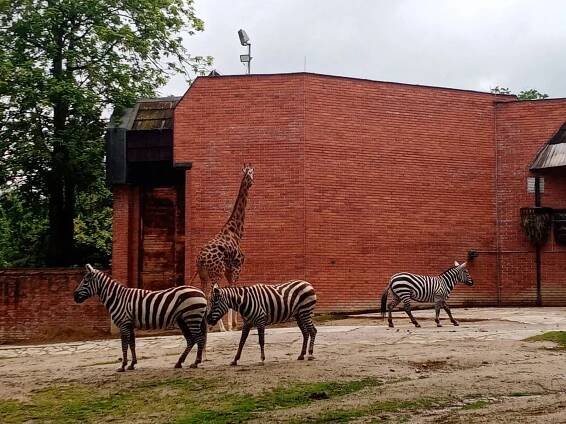 ZOO Liberec | ZŠ Jablonec nad Nisou, 5.května 76