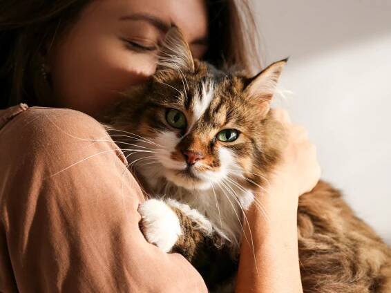 Woman says she’d give up having children if her cat could live forever