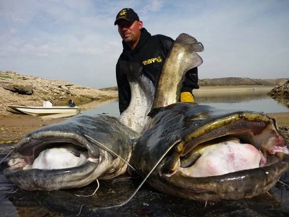 Fotogalerie čtenářů – 2013 | Fishmag.cz - Magazín pro Rybáře