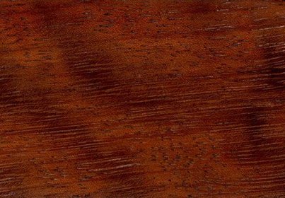 Iroko wood: properties and advantages