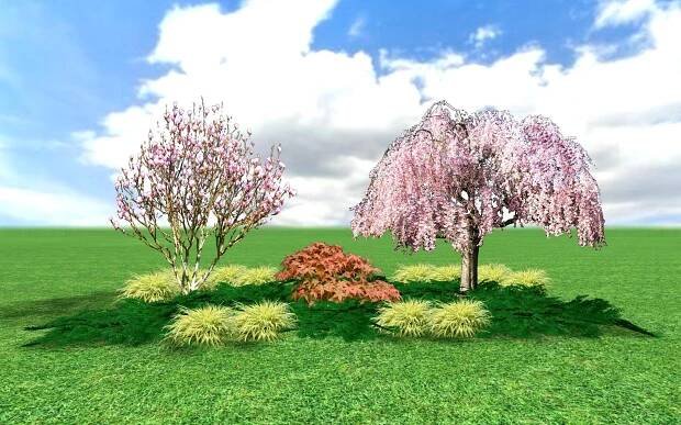 prunus+magnolia5