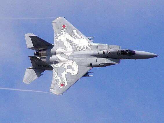 Japan 2025 - COAP Wings