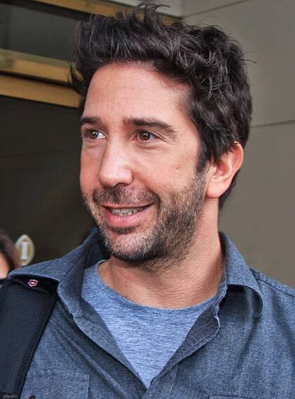 File:David Schwimmer (5208598833).jpg - Wikimedia Commons