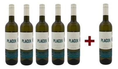 Sauvignon 5+ 1