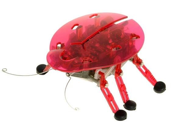 HEXBUG Ploštice červená
