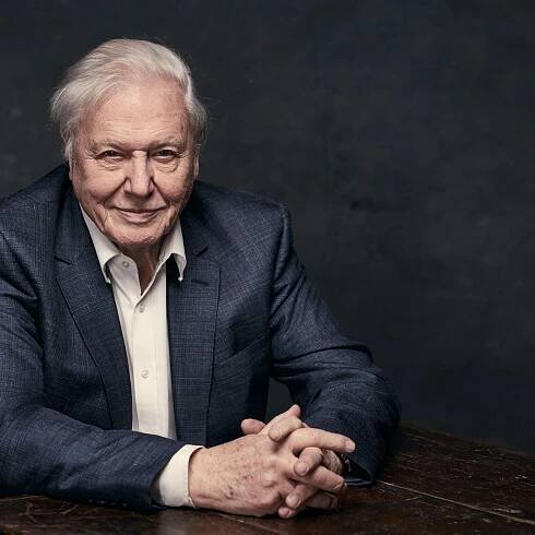 Why David Attenborough is a national treasure
