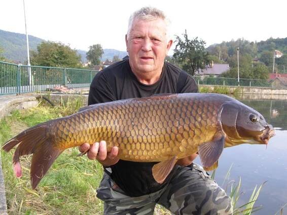 Stanislav Navrátil st. - příprava na výpravu na Dyji 5 s boiliem Red-Rag | MAXCarp.cz