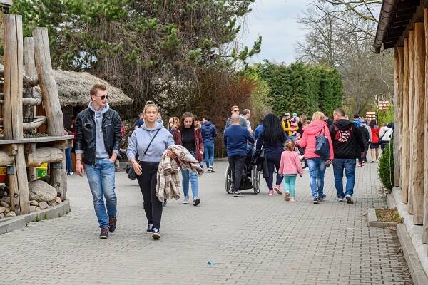 Narvané parkoviště, fronty před vstupem. Safari park přilákal přes 3 tisíce lidí