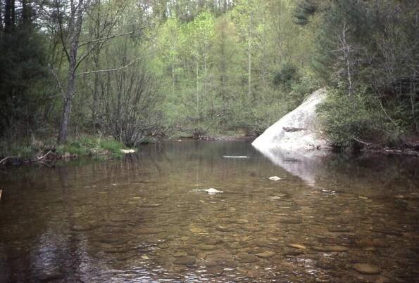 Wilson Creek Adopt-A-Stream and Stream Watch