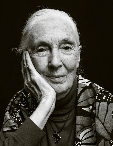 Jane Goodall Keeps Going, With a Lot of Hope (and a Bit of Whiskey)
