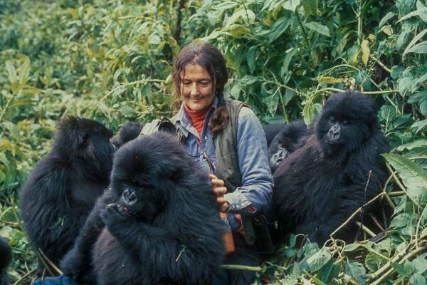 Dian Fossey - dian fossey tomb, visit rwanda, rwanda safari