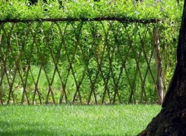 Vrbový plot (46 fotografií): jak vyrobit živý plot z živých vrbových a proutěných prutů vlastníma rukama podle podrobných