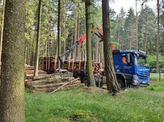 Lesní a pěstební činnost, těžba dřeva - Bohdaneč, Kutná Hora | Dřevařské centrum