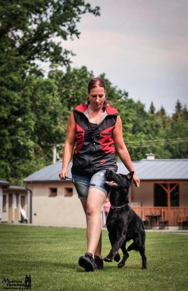 TENEBRIS BOHEMIA - German Shepherd Dog kennel, CHS Tenebris, morpheus anrebri, martina trnkova, GSD, GSD kennel, german