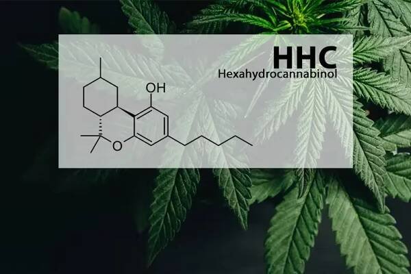 Co je HHC: Účinky, výroba, legislativa a budoucnost