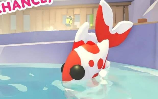 Koi Crap is a fish pet in Roblox Adopt Me! (Image via YouTube)