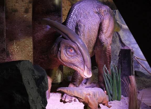 DinoPark Liberec, Parasaurolophus