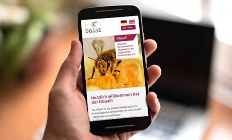 DGAAE Website - Mobile-Ansicht