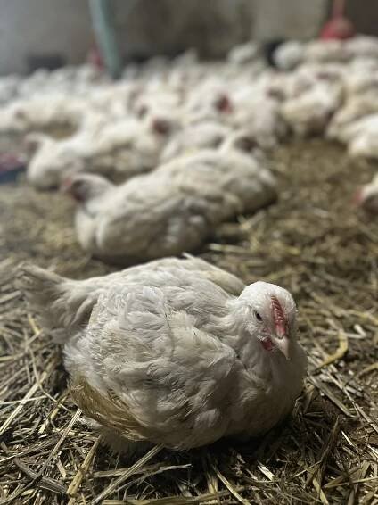 Začíná čtrnáctý ročník farmářských trhů – sobota 20. ledna - Informační centrum