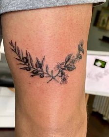 40+ nejlepších tetování olivové ratolesti. Starověké a moderní významy