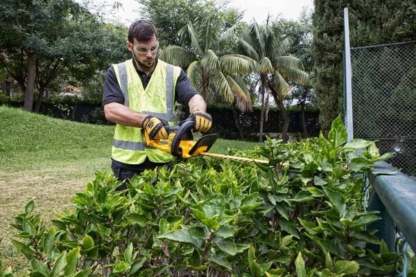 DeWALT DCM563PB