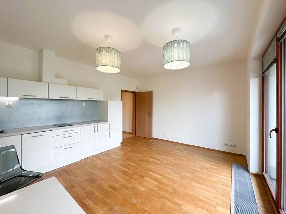 Pronájem částečně zařízeného bytu 1+kk, 30m2, zahrada, přízemí, Štorkánova 13, Praha 5, Smíchov – REAL FRIEND
