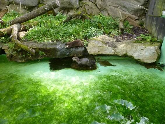 ZOO Jihlava | euzelva.cz 