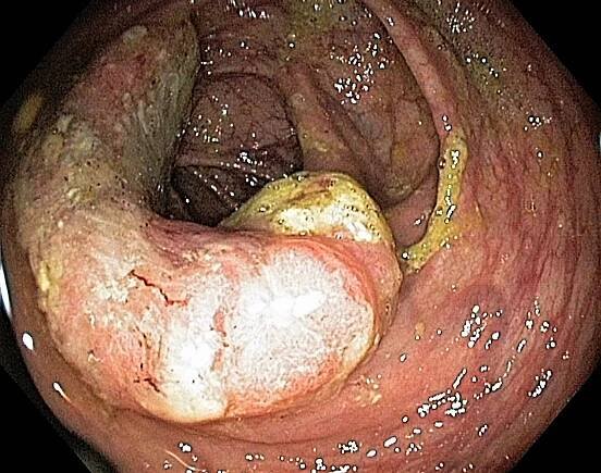 The Gastrolab Image Gallery