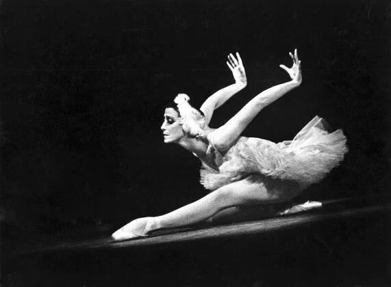 Plisetskaya Shchedrin FoundationFotogalerie
