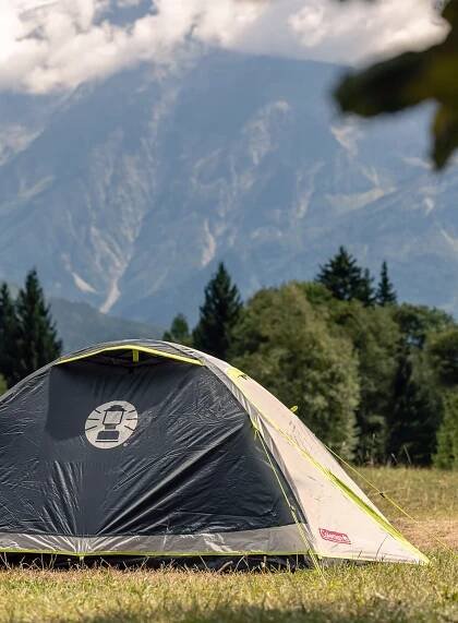 Stan pro 2 Coleman Darwin 2 - grey