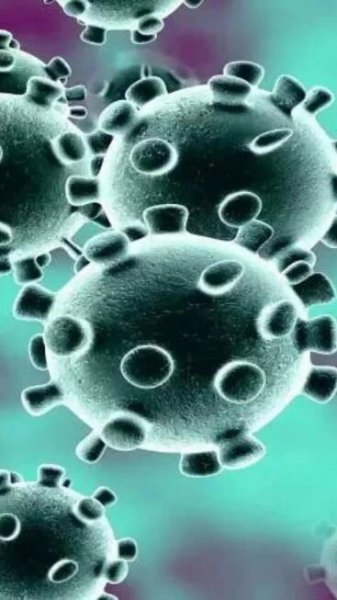 Kerala reports two Nipah virus deaths; Expert team dispatched by Centre