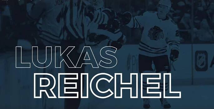 Lukas Reichel - Stats, Contract, Salary & More