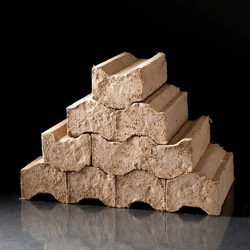 #BrainFood - your daily-ish dose of cool shit. | Shelby Erickson | Substack