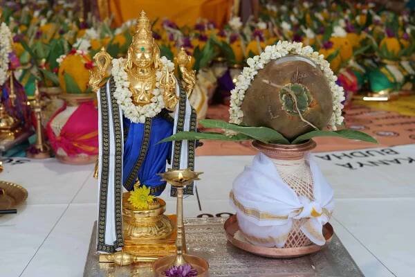 Dosha Nivarana Rasi Mandala Puja - SriVidya