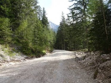 Forest road towards "Klammboden / Pribitz"