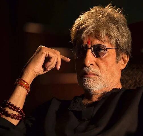 Amitabh Bachchan : Net Worth, Height, Weight, Age, Affairs, Wiki, Facts and Figures 9