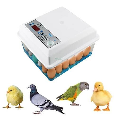 20/50Inkubátor vajec Plně automatický brooder Kuřecí drůbež Křepelky Líhnička na ptáky